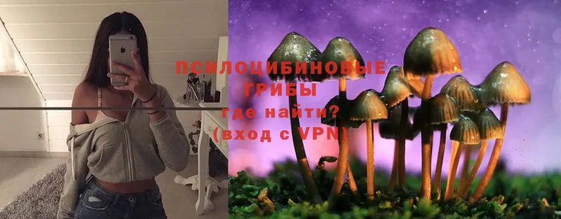 Галлюциногенные грибы Magic Shrooms  хочу наркоту  Гороховец 